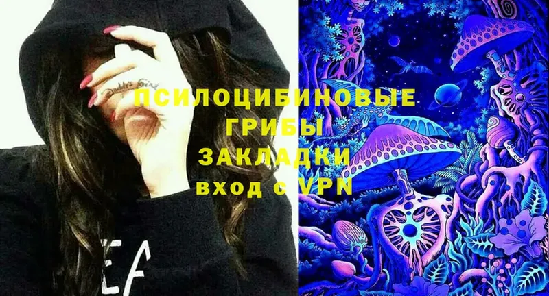 hydra зеркало  Кинешма  Псилоцибиновые грибы Magic Shrooms 